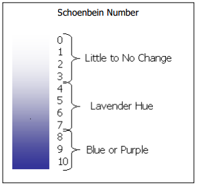 Iodine Test For Starch Color Chart